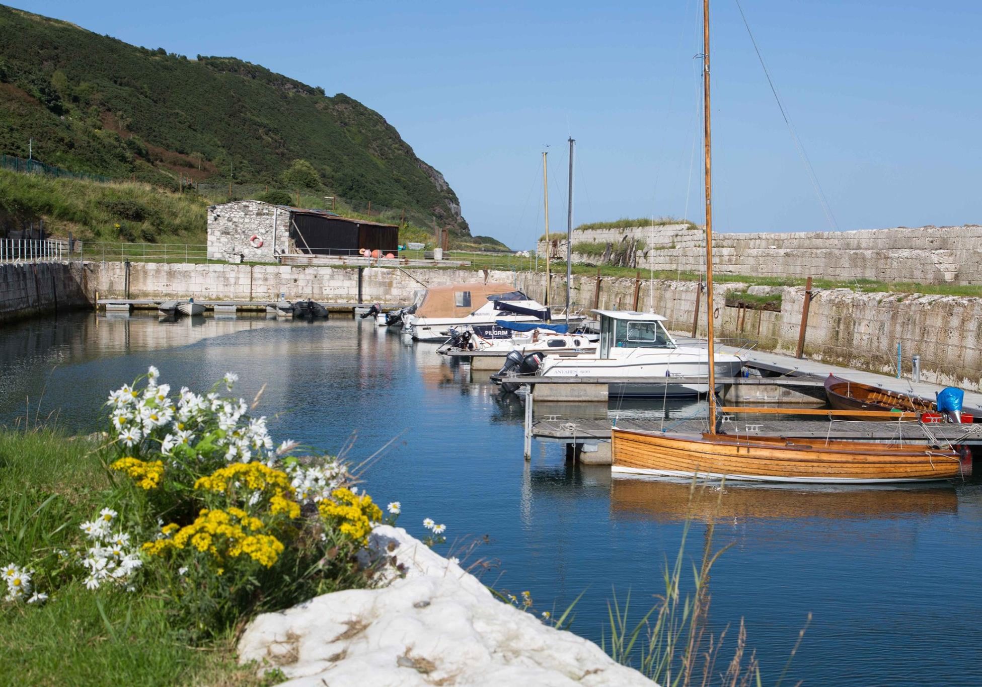 Whiteharbour Harbour on sunny day with flowers in foreground in Whitehead, Northern Ireland